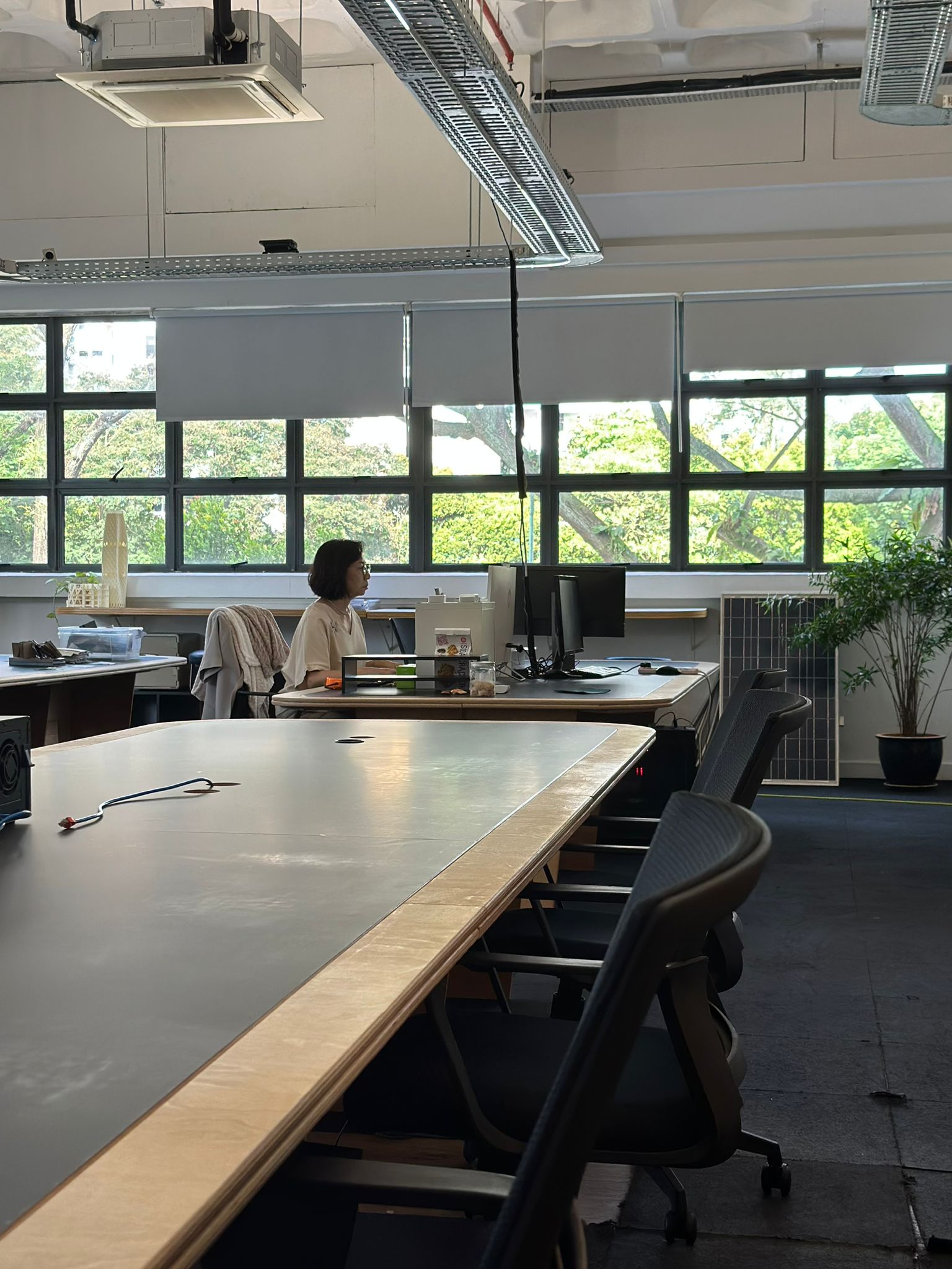 Where River views Meets Greenery (No Alligators) image 5