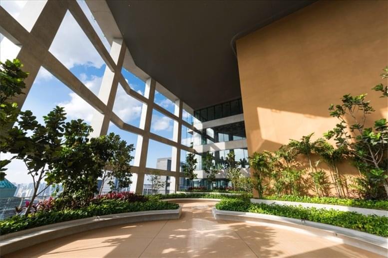 The Work Project image 4