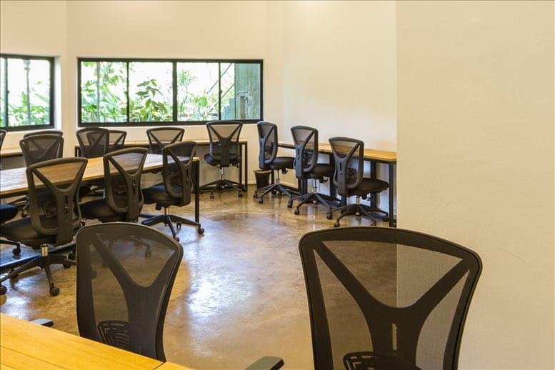 Hollandse Club image 2