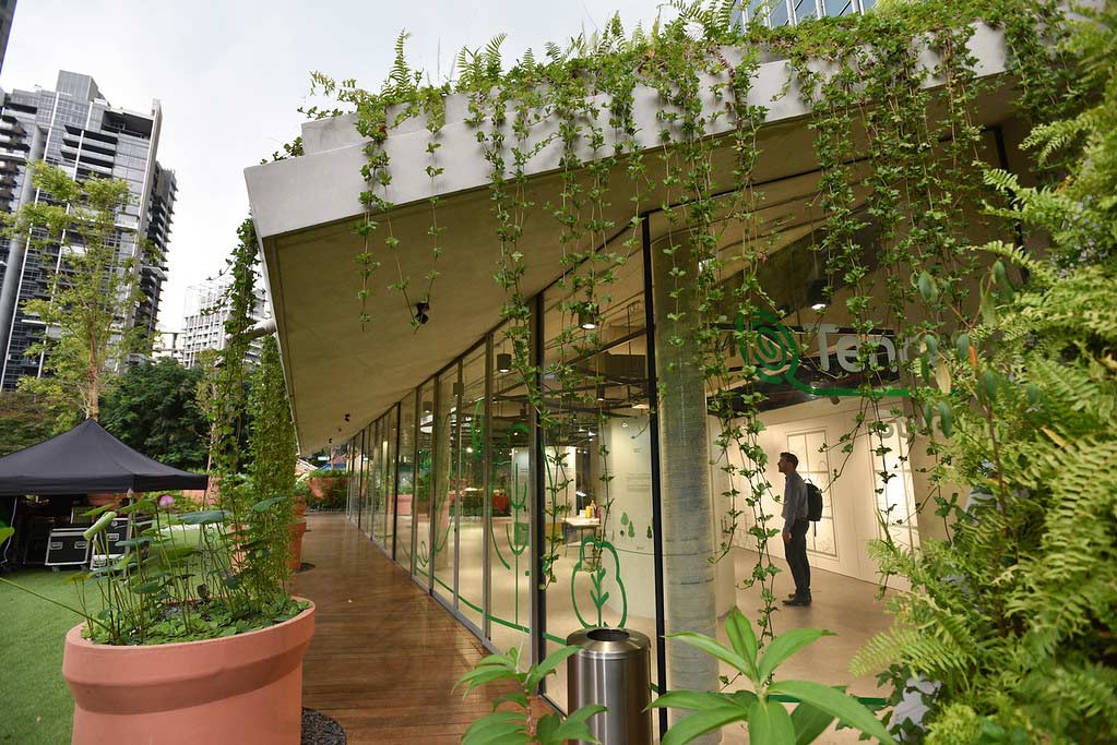 The Cocoon Space image 5