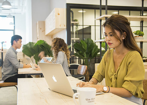 the Hive Carpenter image 5