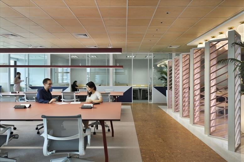 The Work Project image 6