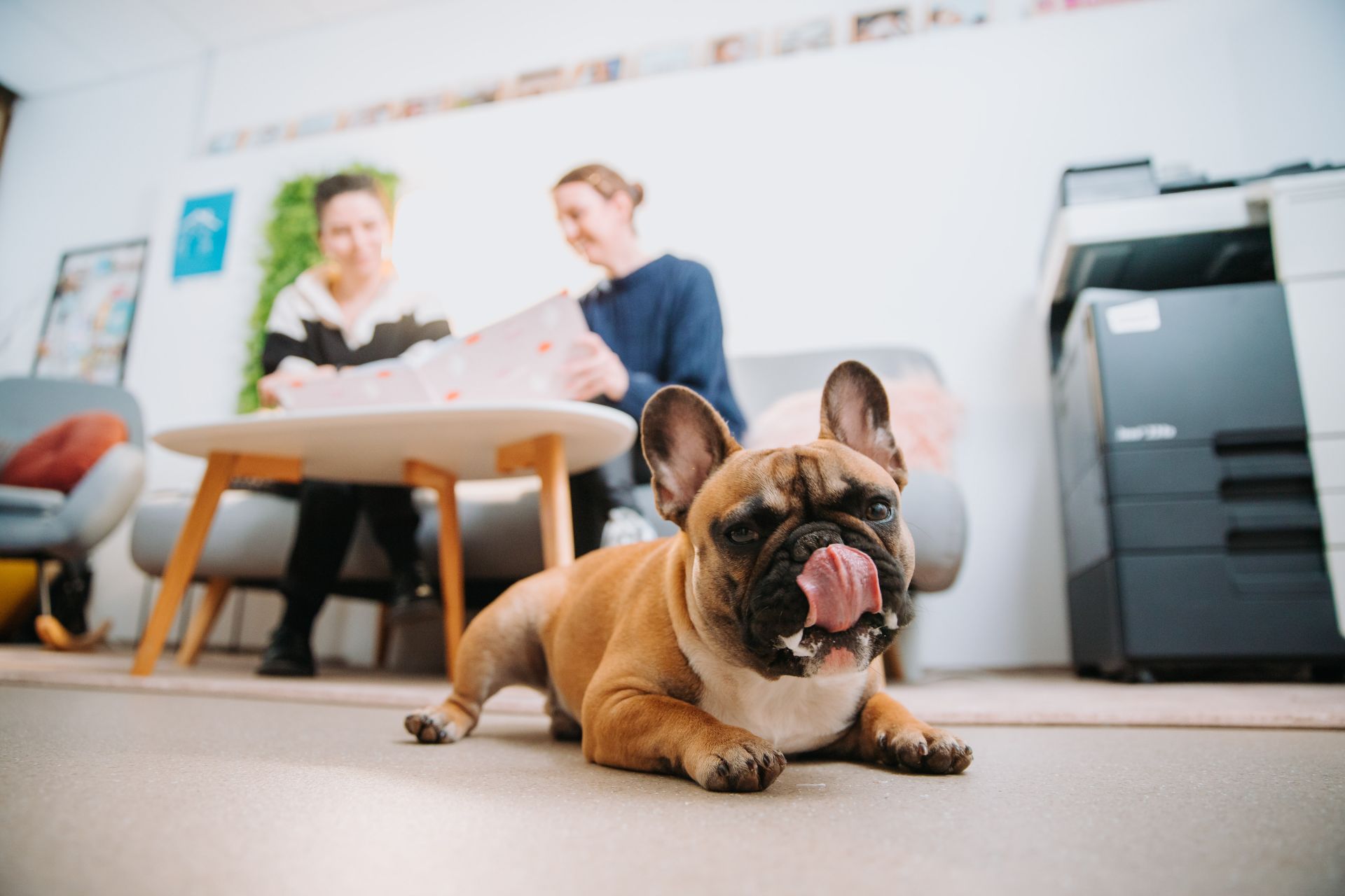 Inkubator Savinjske regije image 3