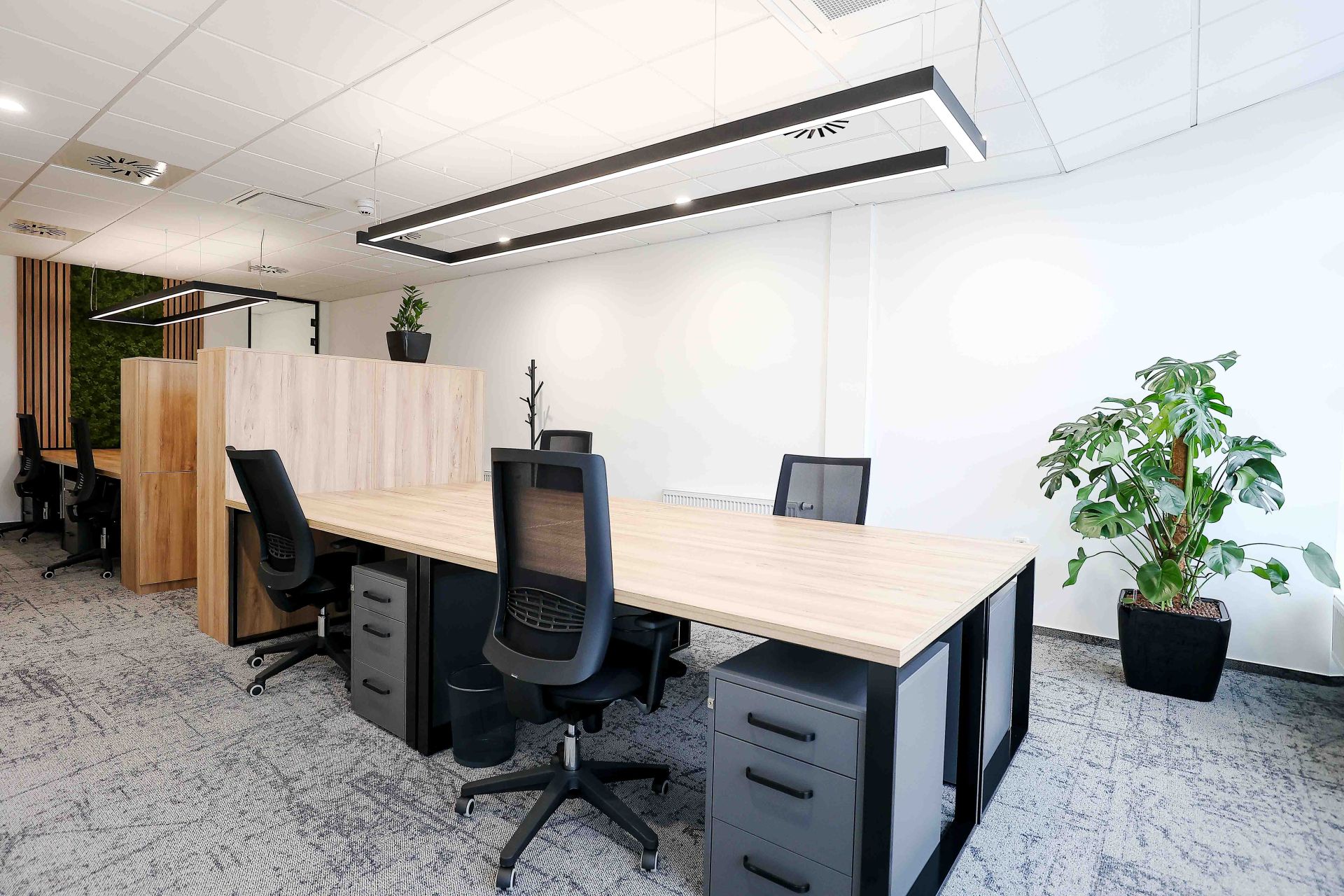 Generator Emil Frey image 4