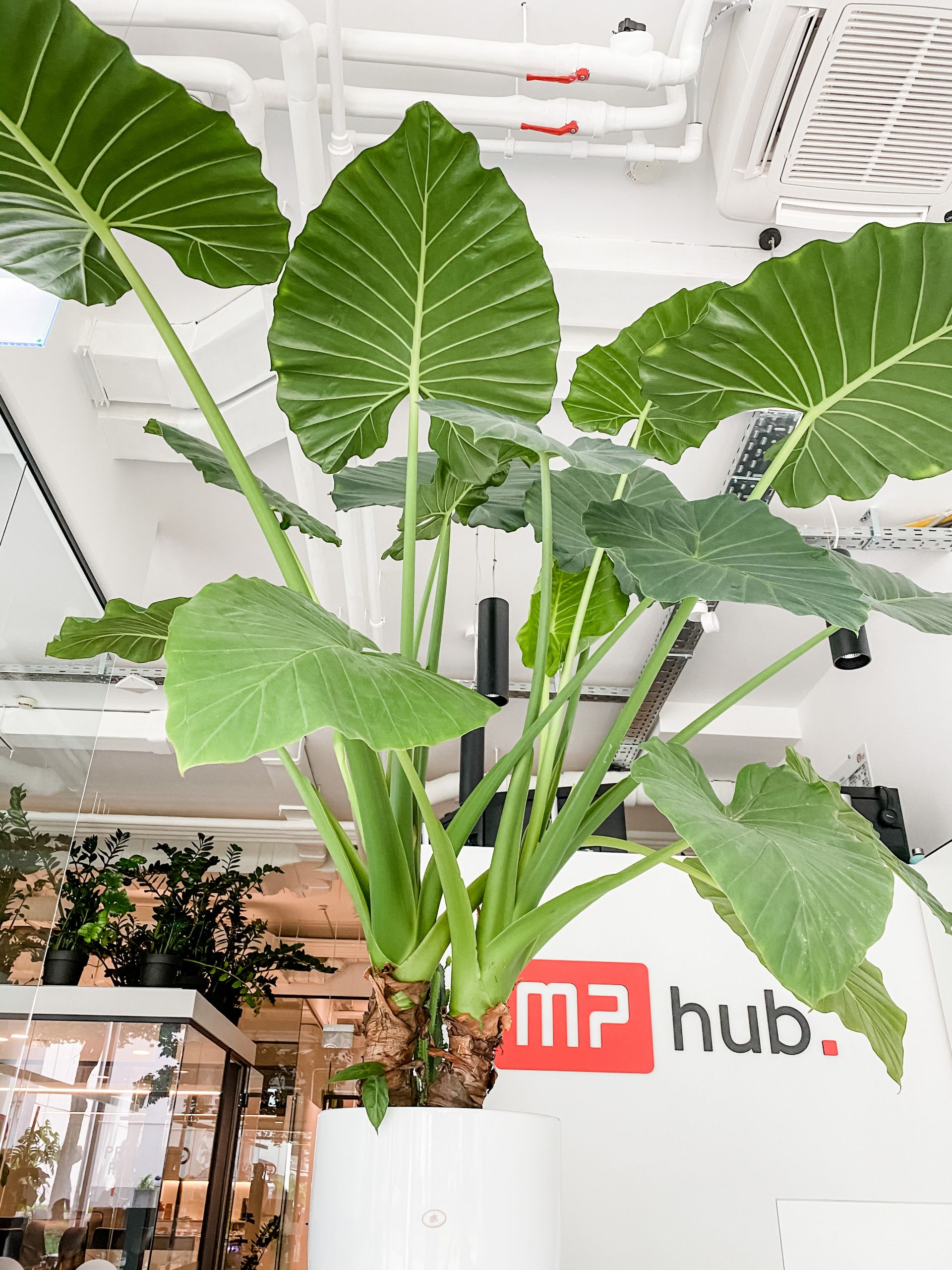 MP hub. coworking image 5