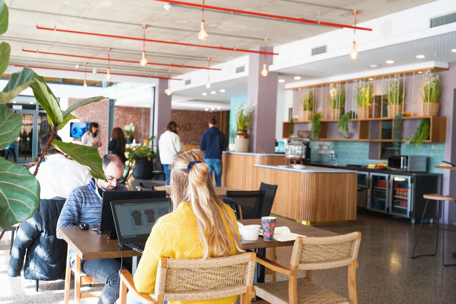 Brickfield Canvas image 5