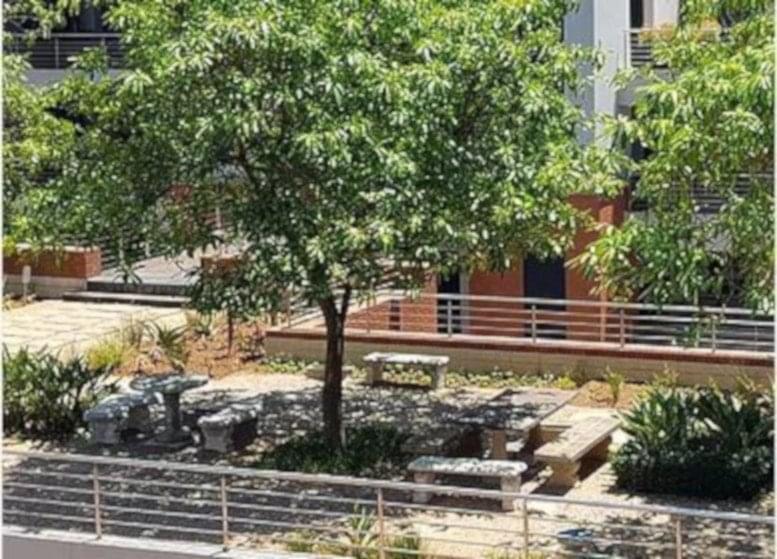 Treehouse Workspace image 5