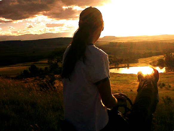 Antbear Lodge image 5