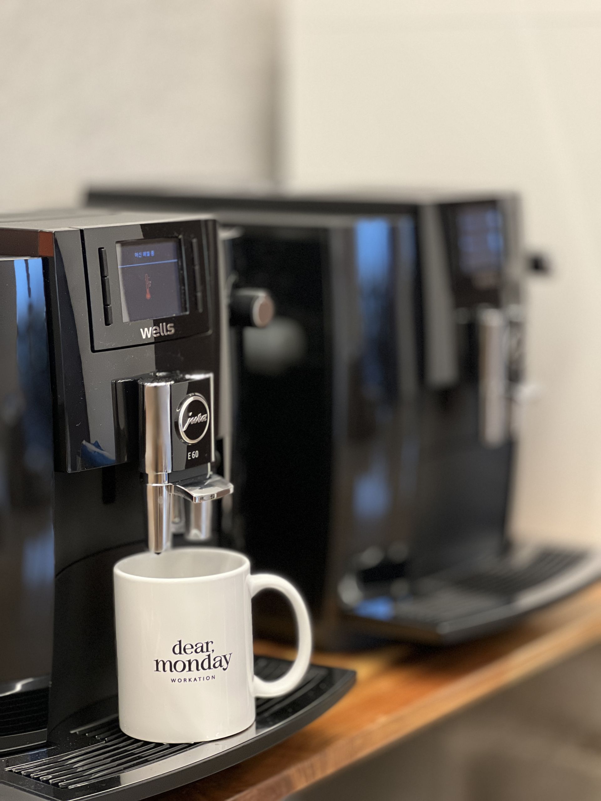 DearMonday Jeju image 5