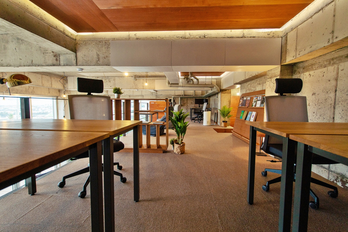 O-PEACE JEJU image 4