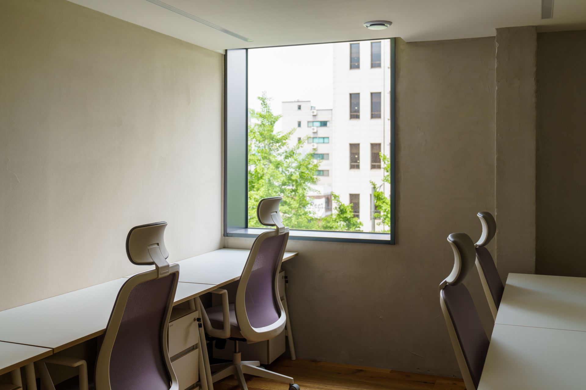 Local Stitch image 5