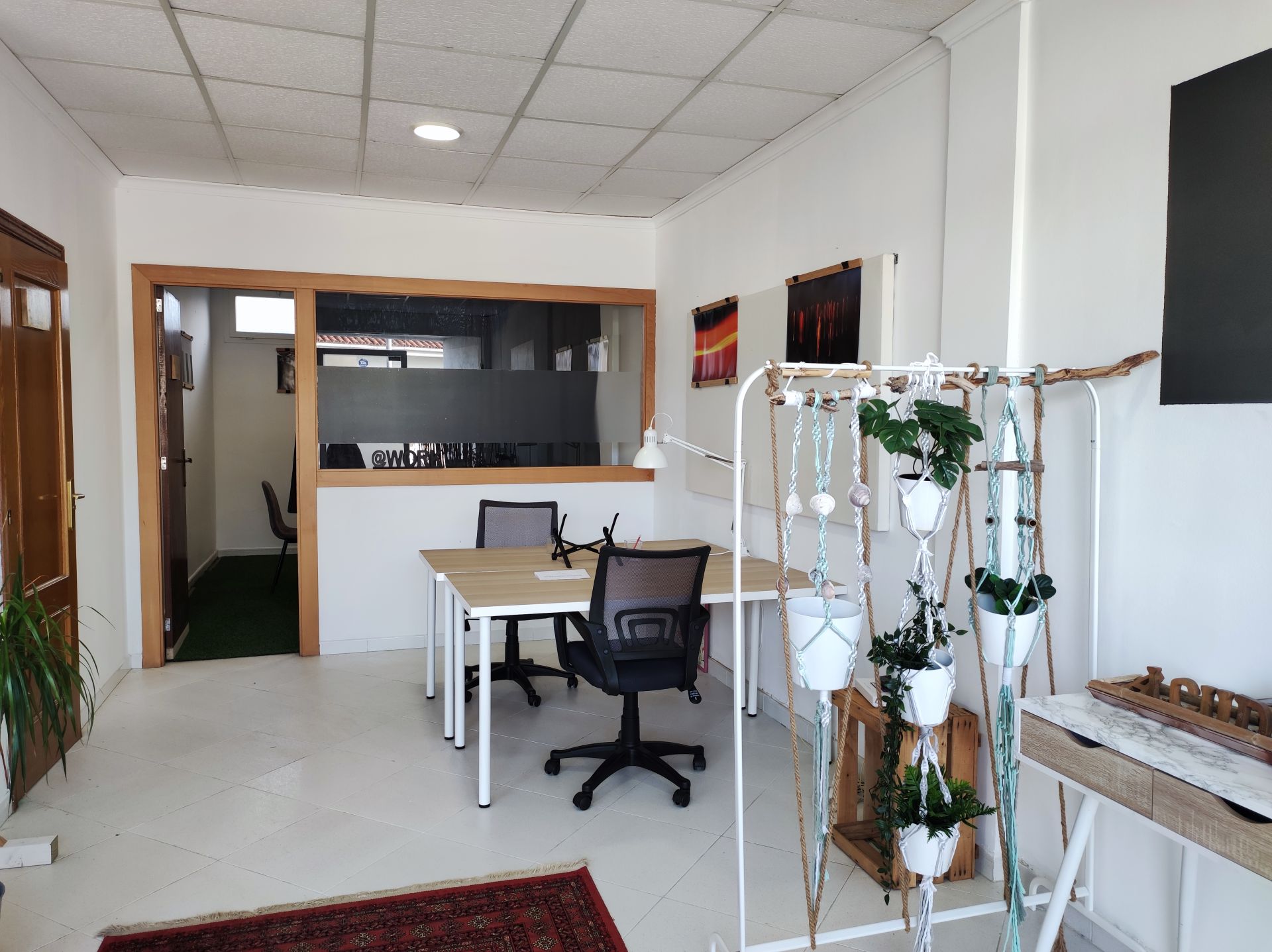 Cocowork Alcudia Beach Mallorca image 5