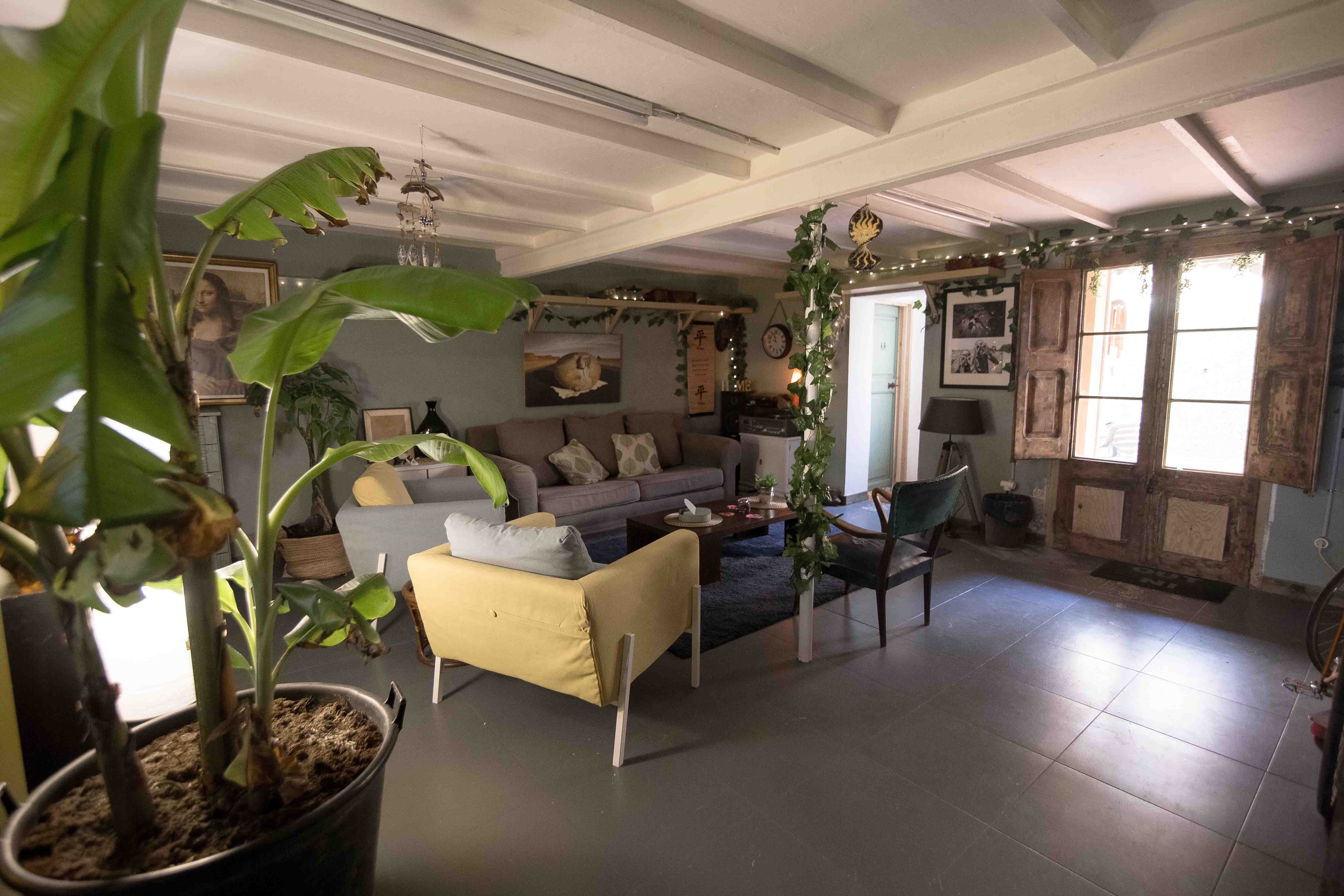 Jungle studio & coworking image 2