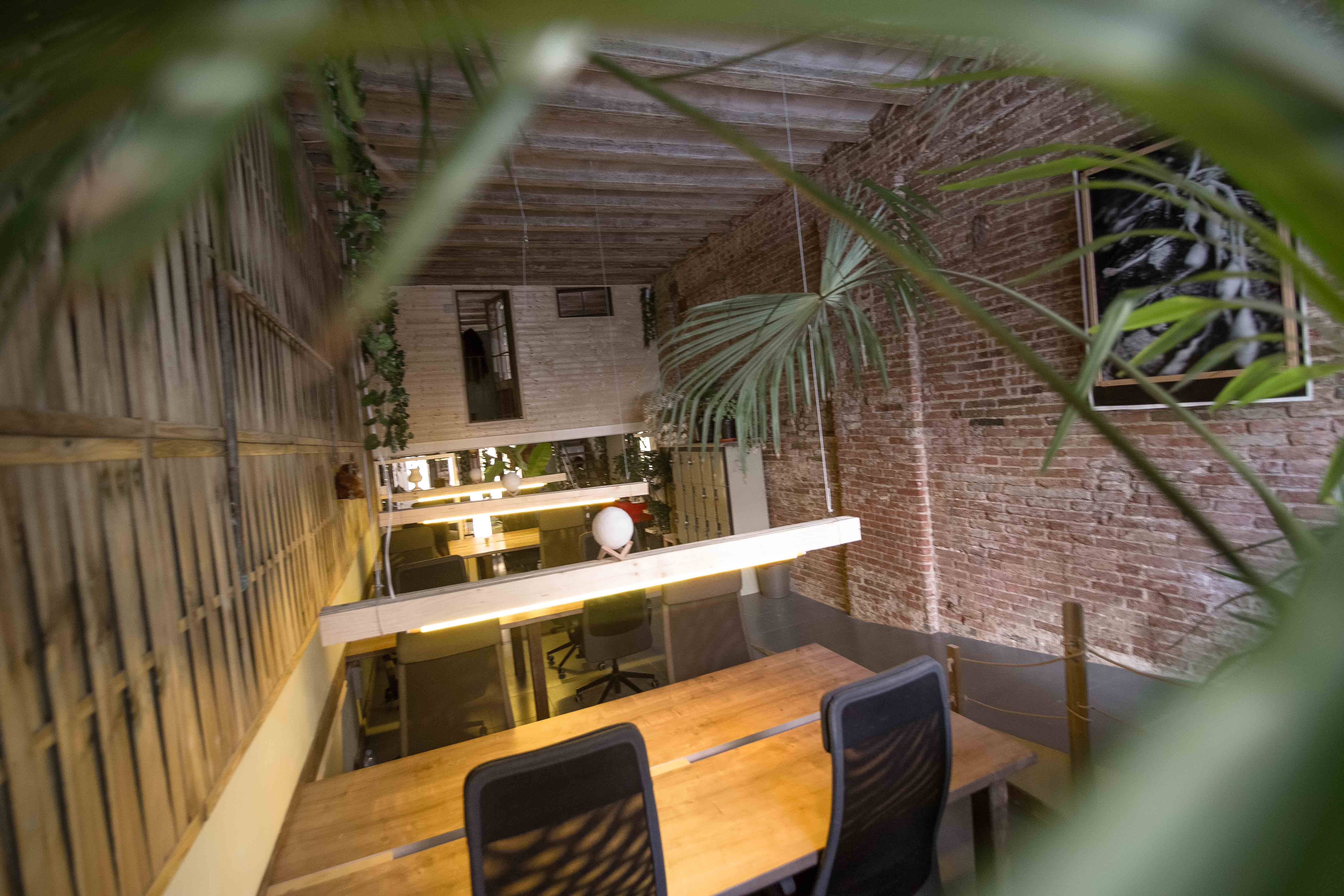 Jungle studio & coworking image 5
