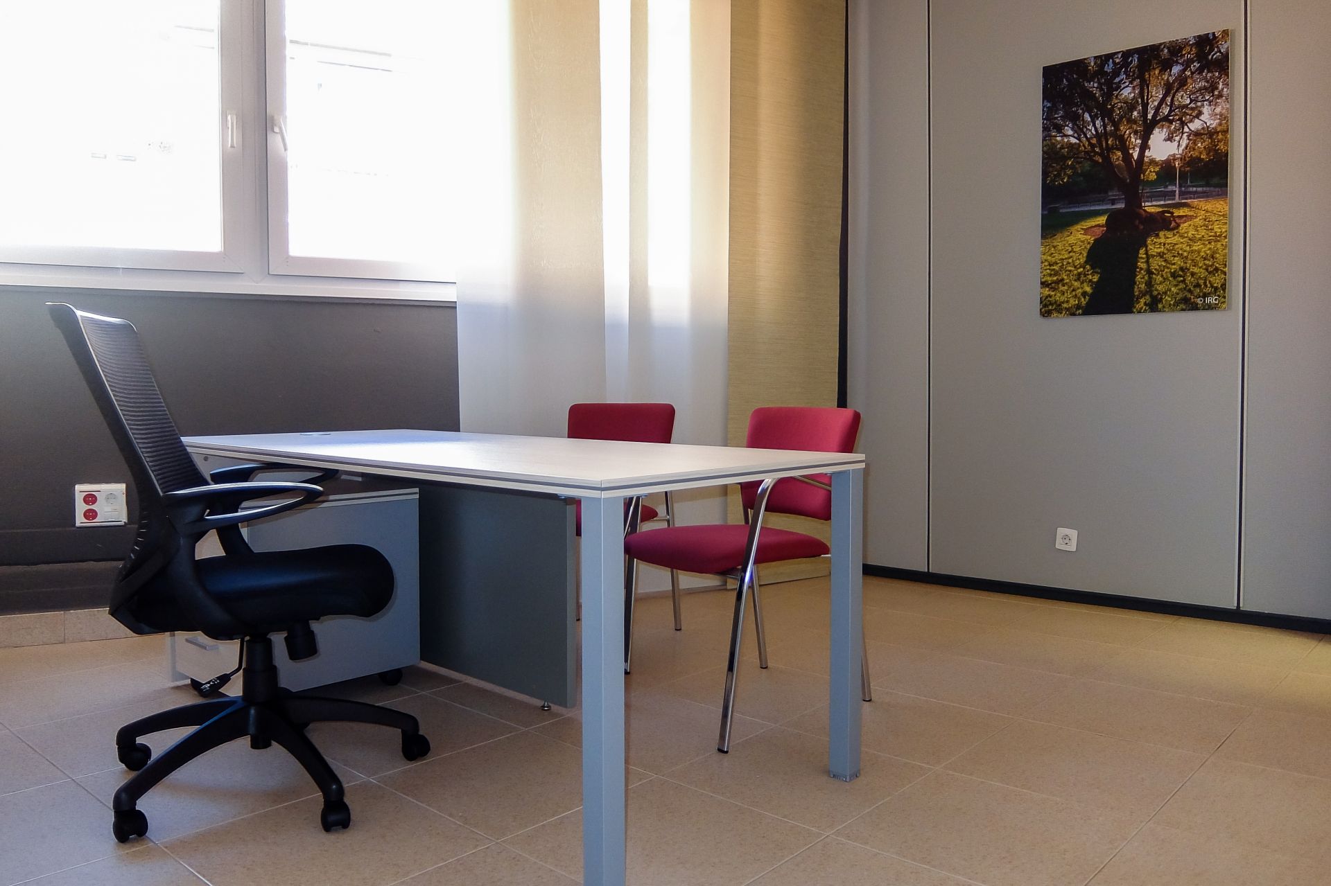 Alzola Coworking image 5