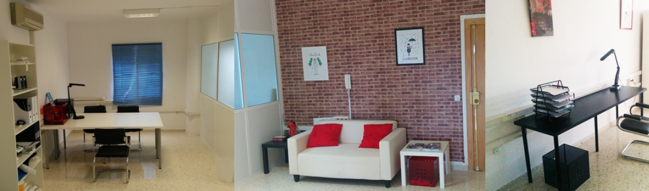 Singular Hub profile image