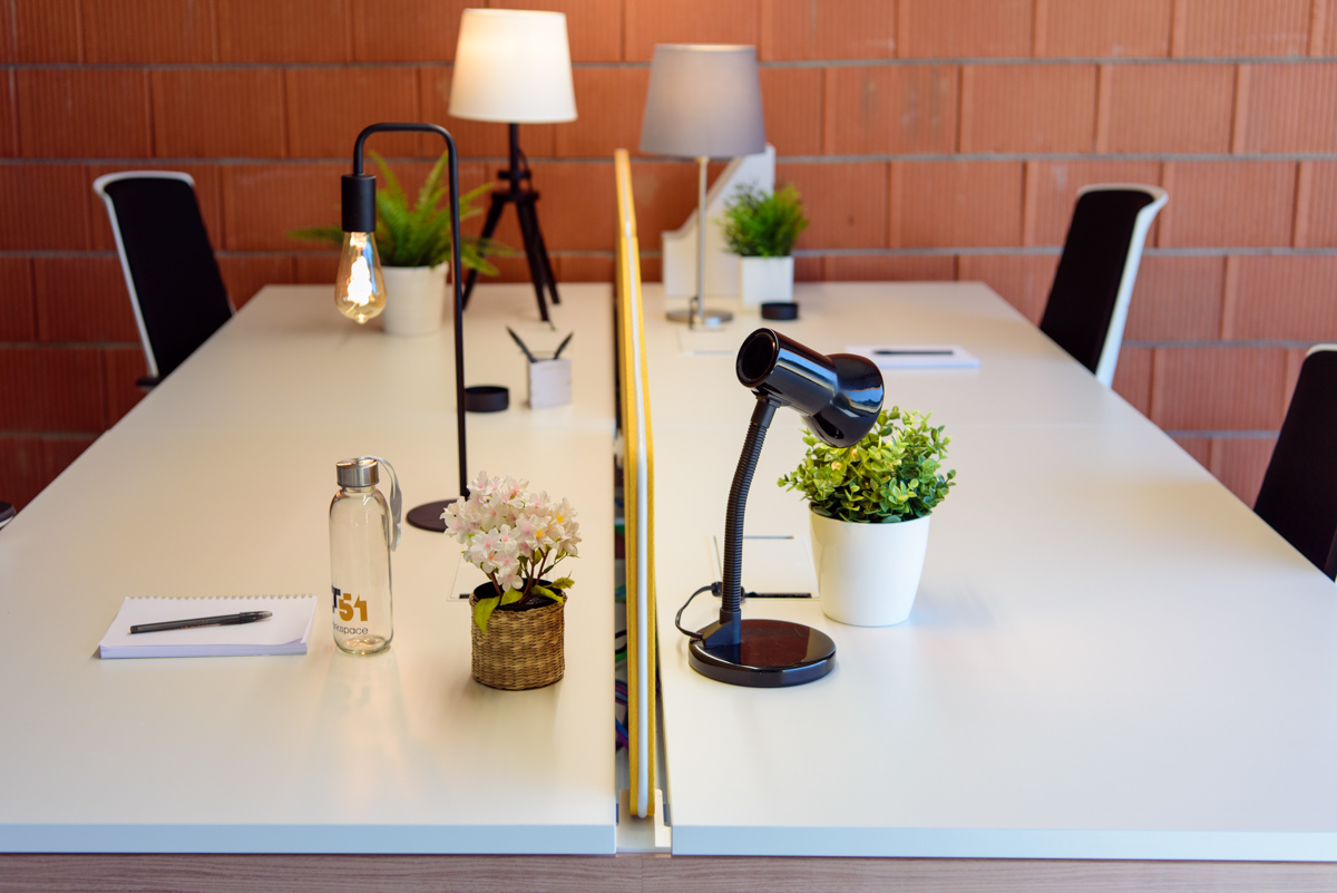 LT51 WORKSPACE image 4