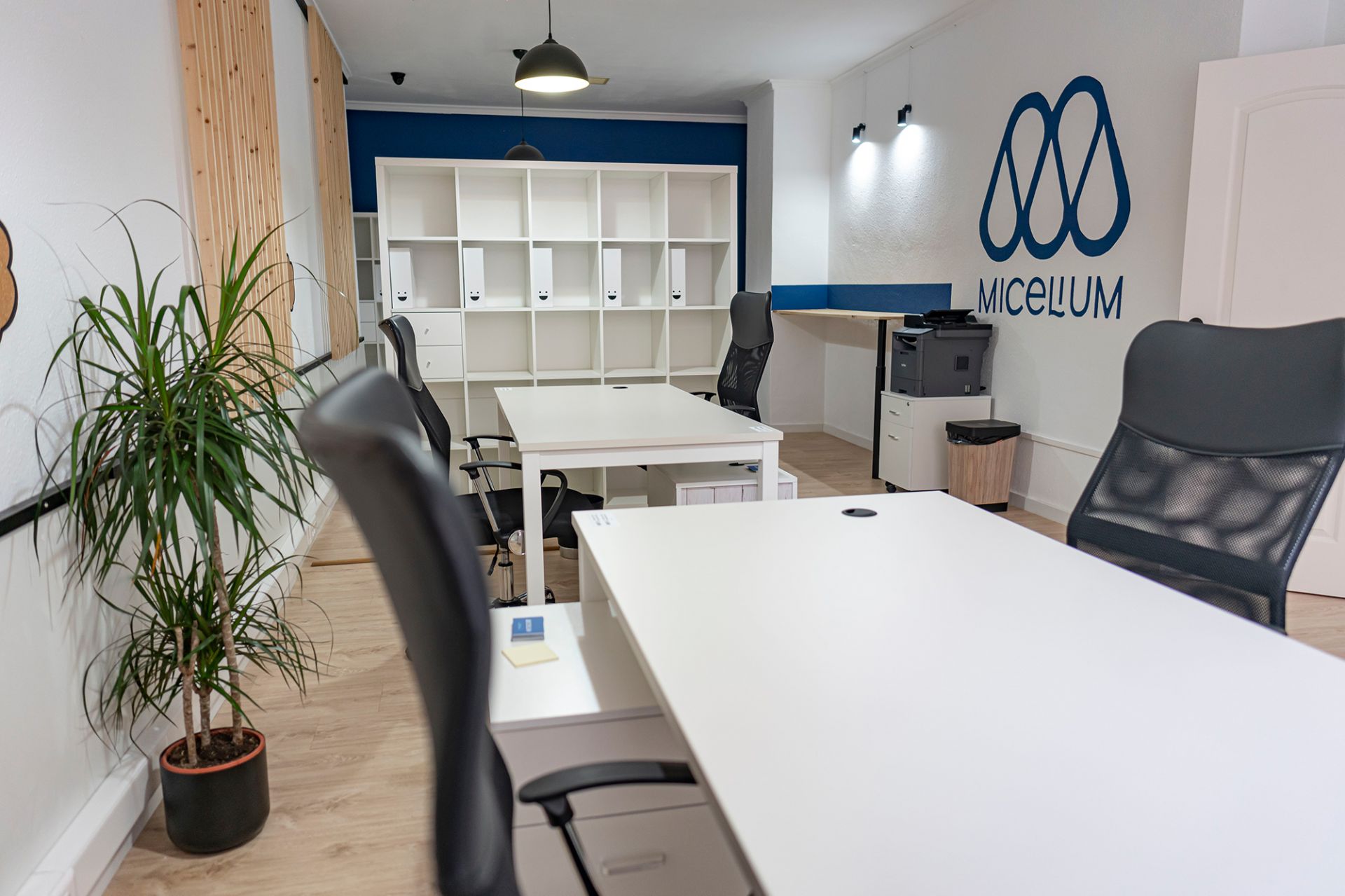 Micelium Coworking Space image 2