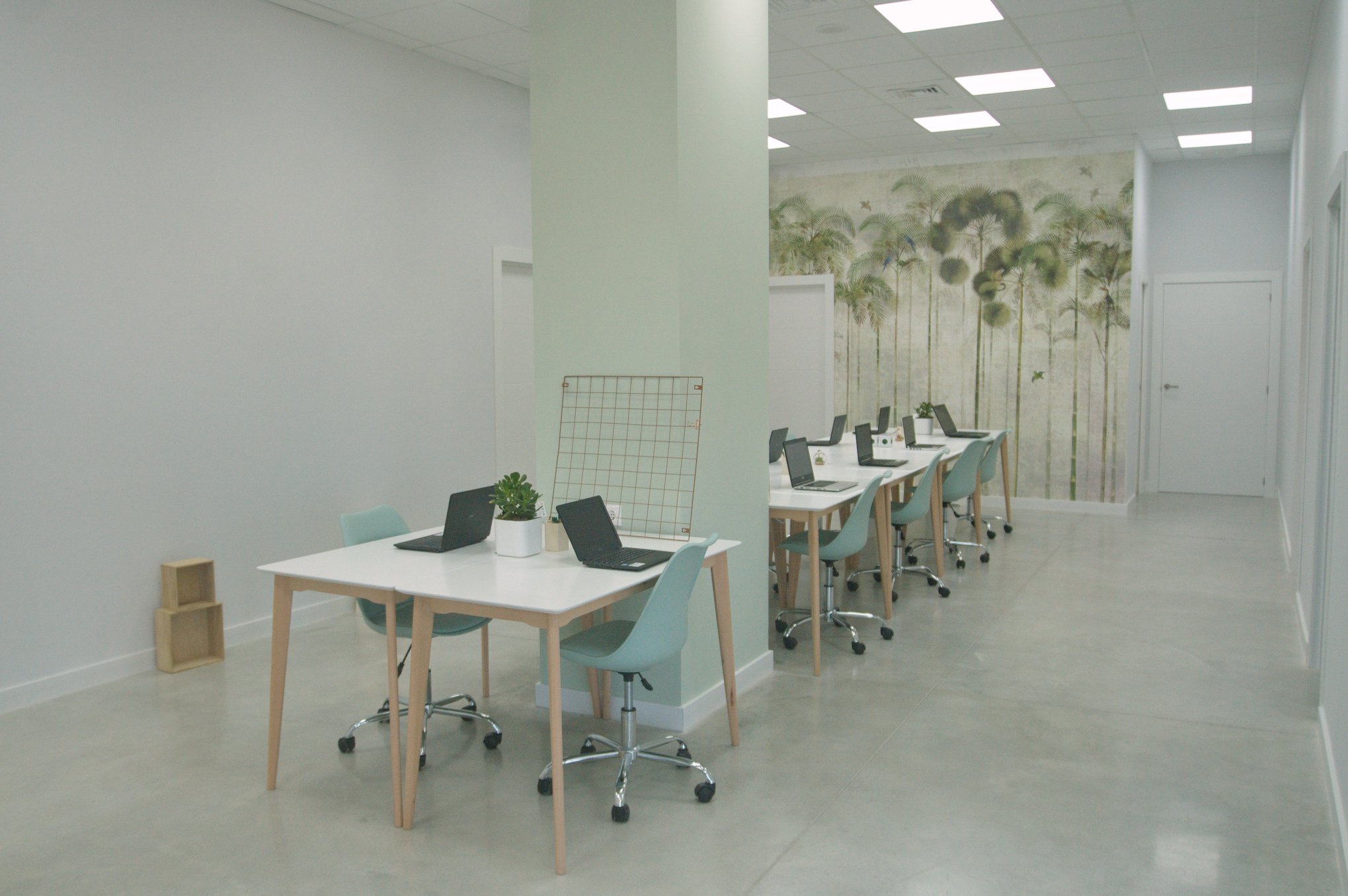 Elche Coworking image 5