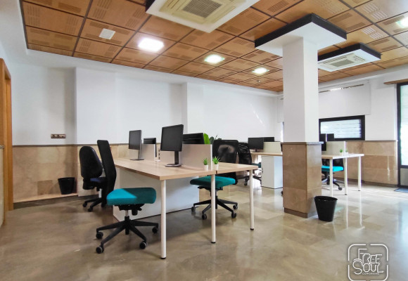 FreeSoul Coworking image 3