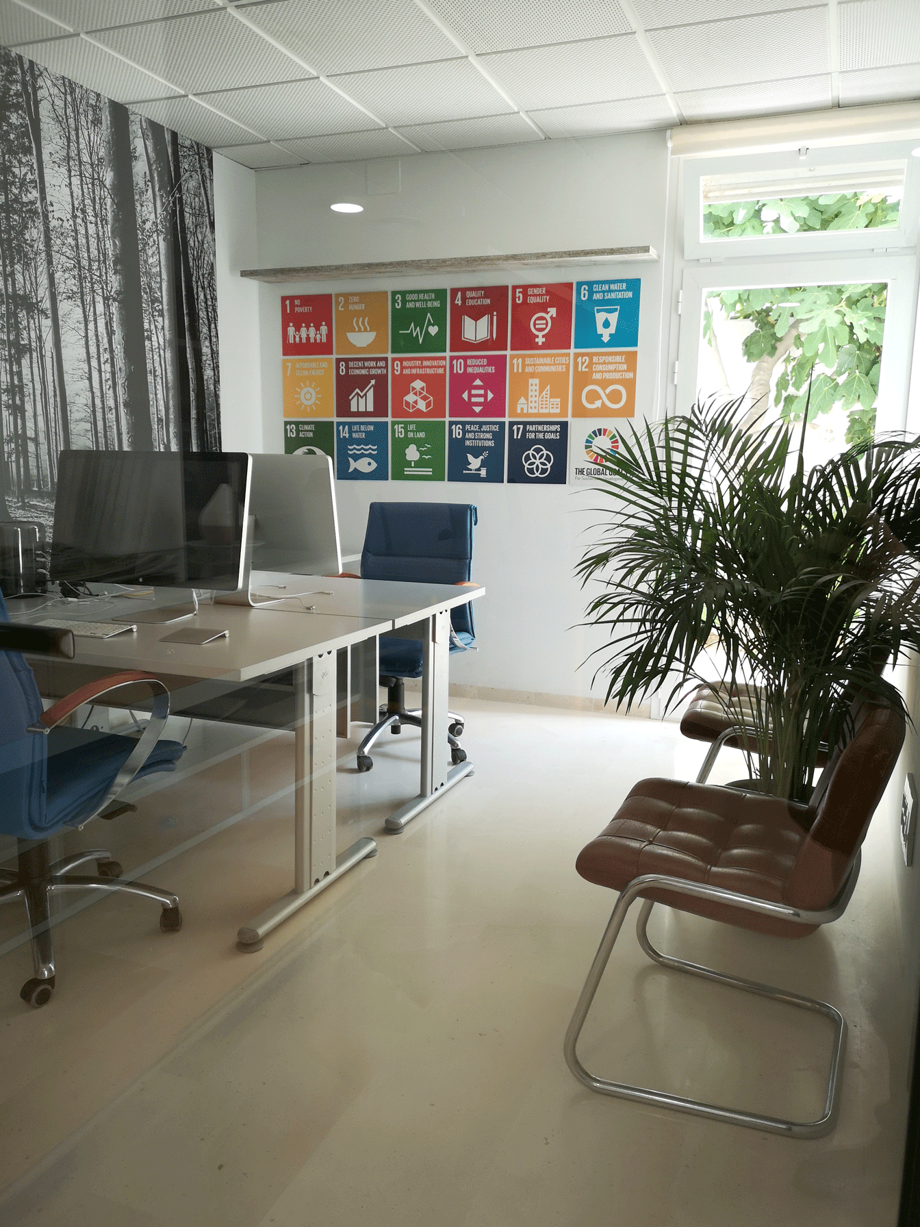 Origen Ibiza image 5