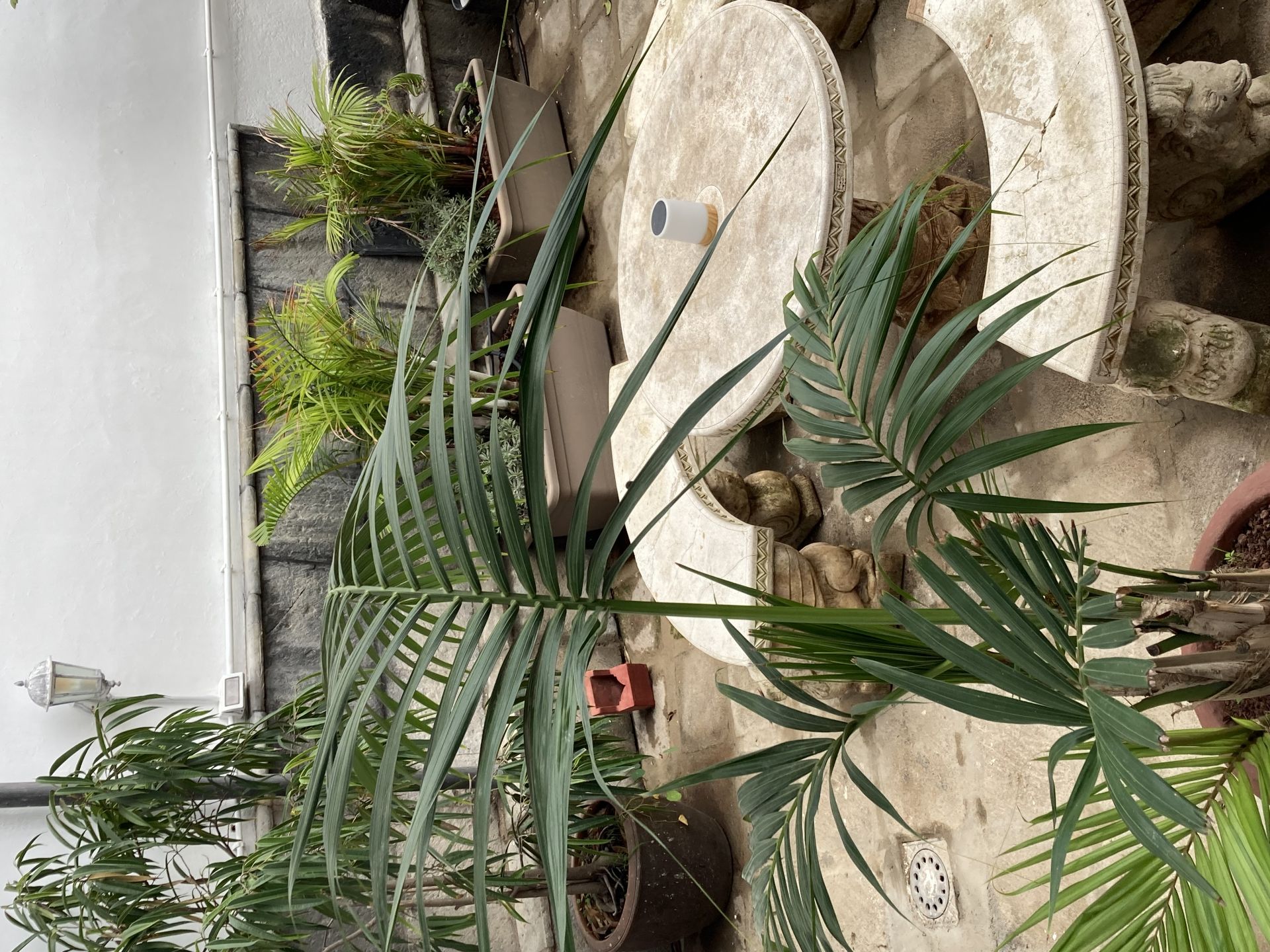 Gato Azul Coliving image 3