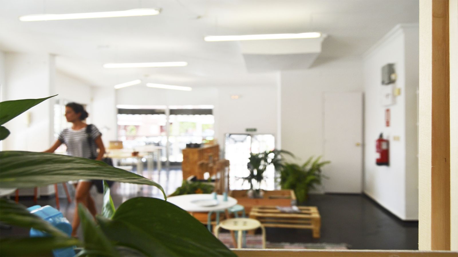 Coworking Space On Coco Coworking Las Palmas Book Online Coworker