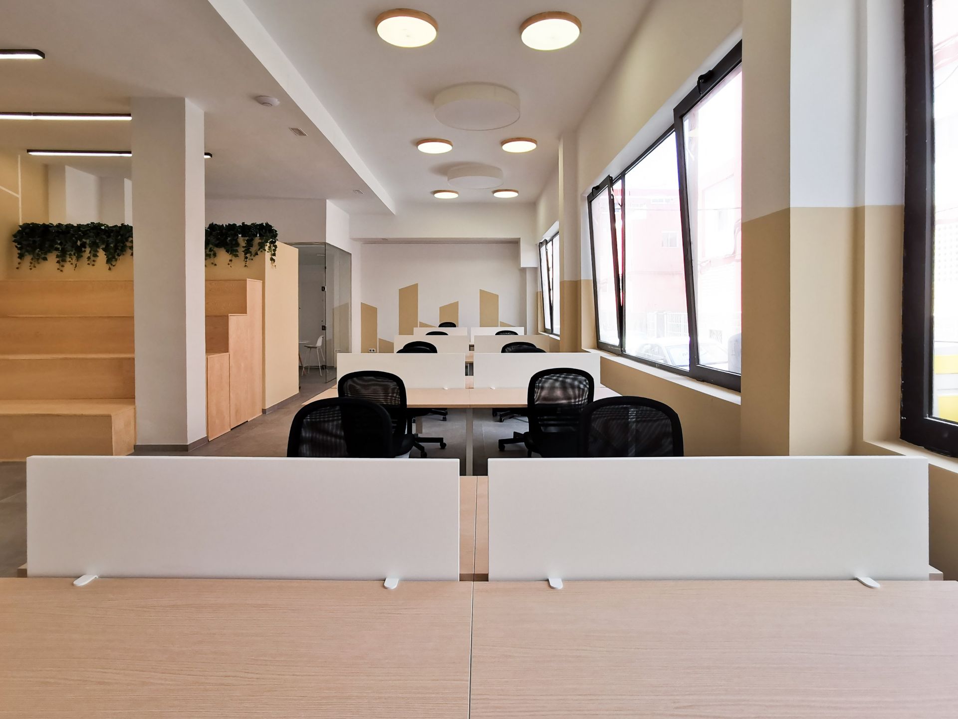 White Forest image 2