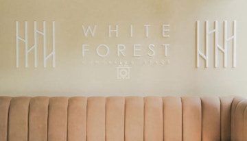 White Forest image 1