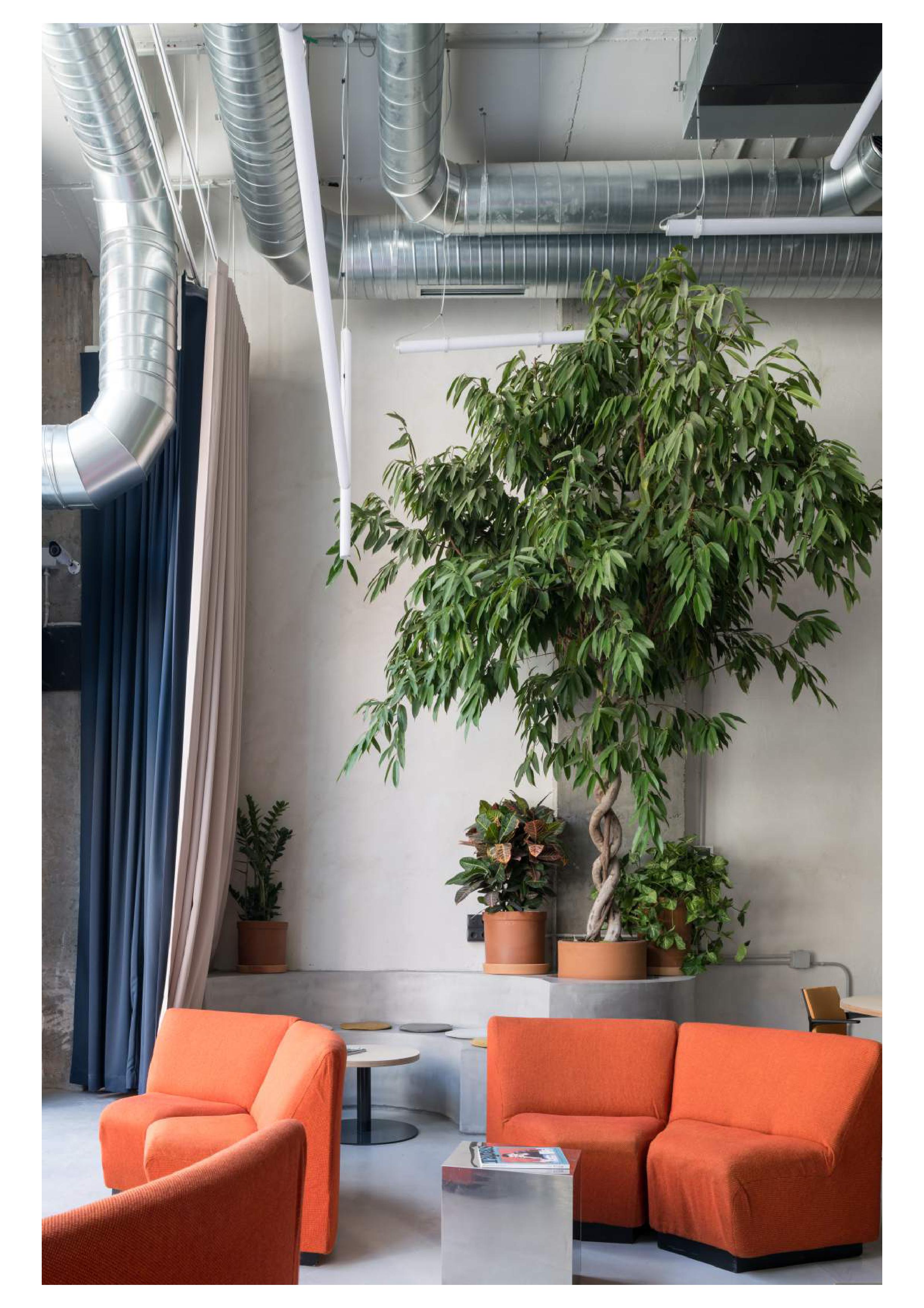 AREA Coworking & Events image 5