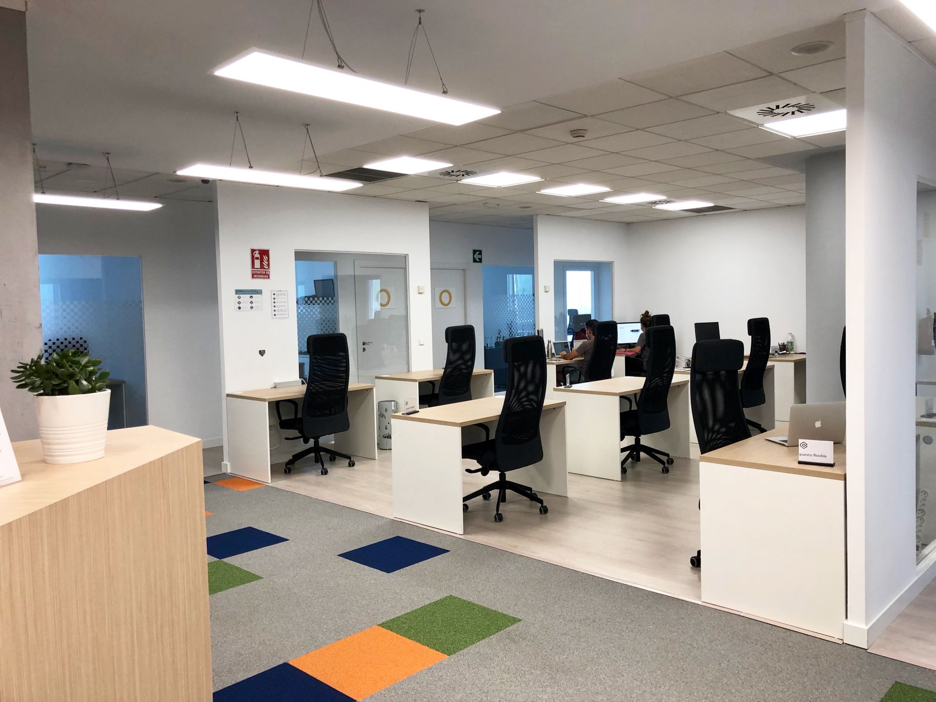 CINK MANOTERAS image 2