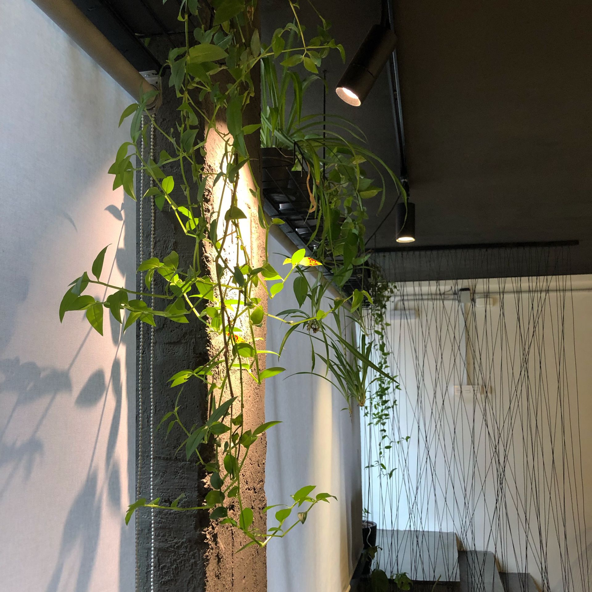 El coworking de Altamarea image 2