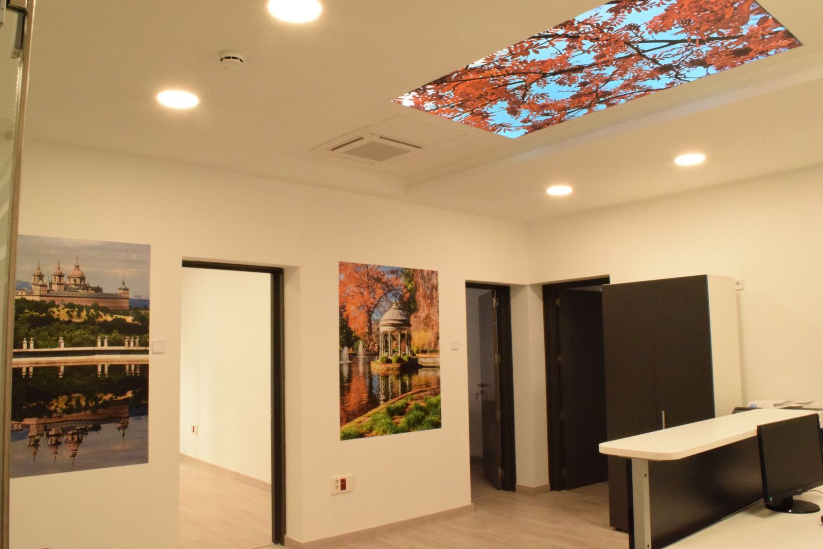 Toledo 46 Center image 1