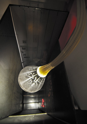 Veidimanna Protum image 4