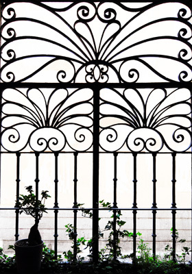 Veidimanna Protum image 5