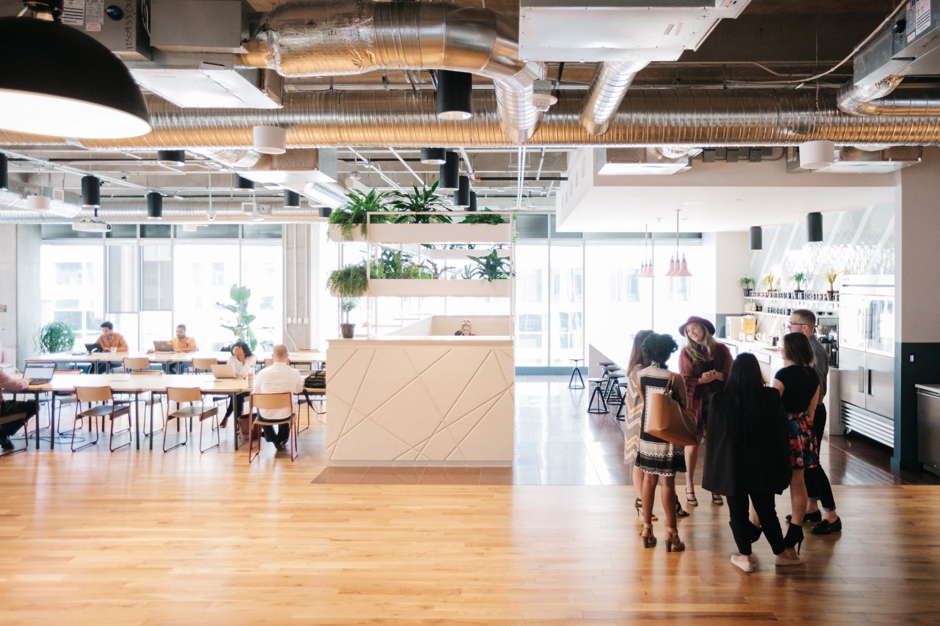 WeWork Paseo De La Castellana 77 image 3