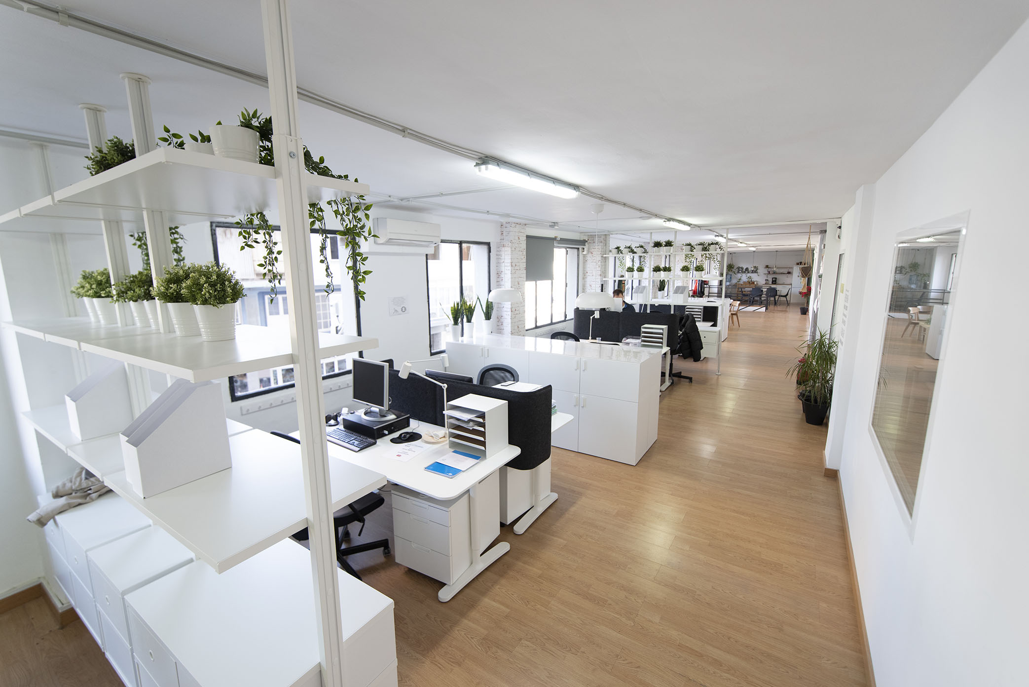 Grow Working Malaga image 4