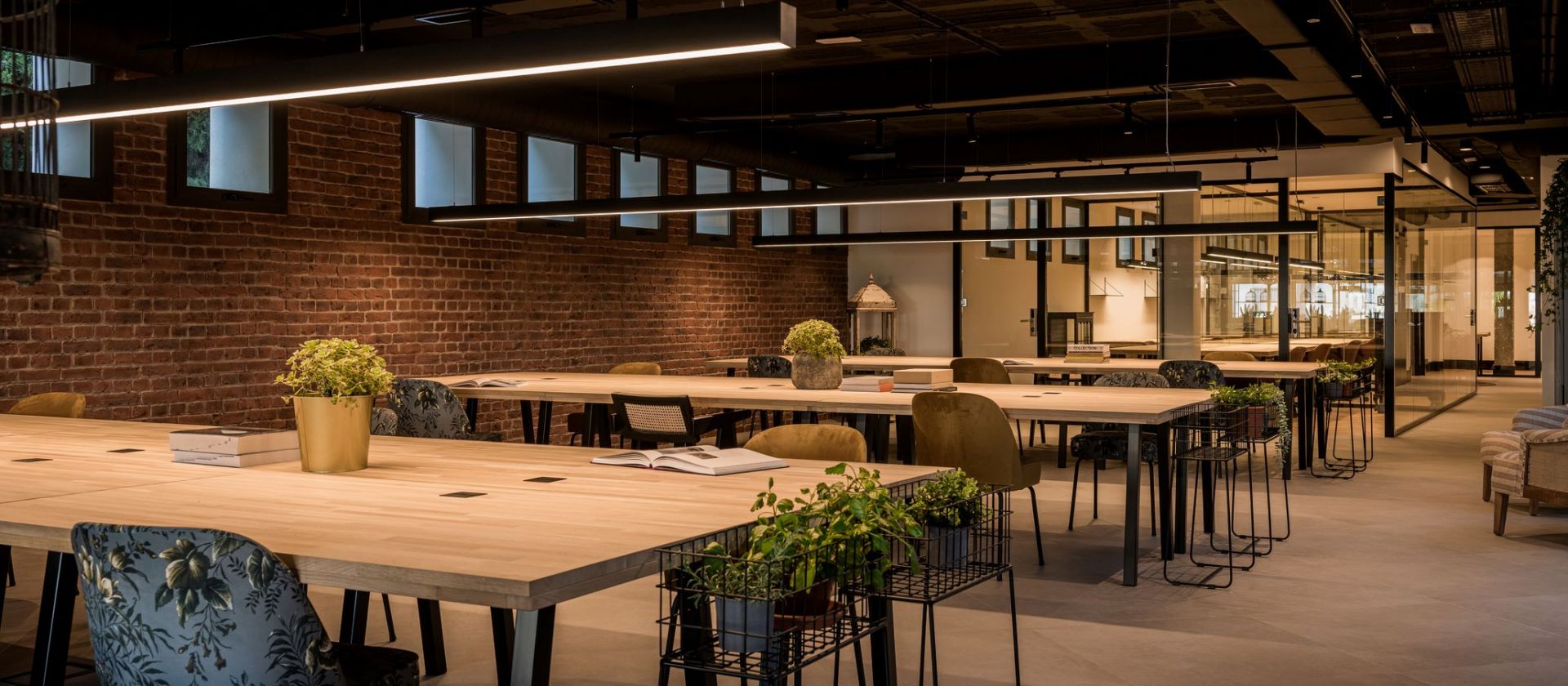 Centro House image 3