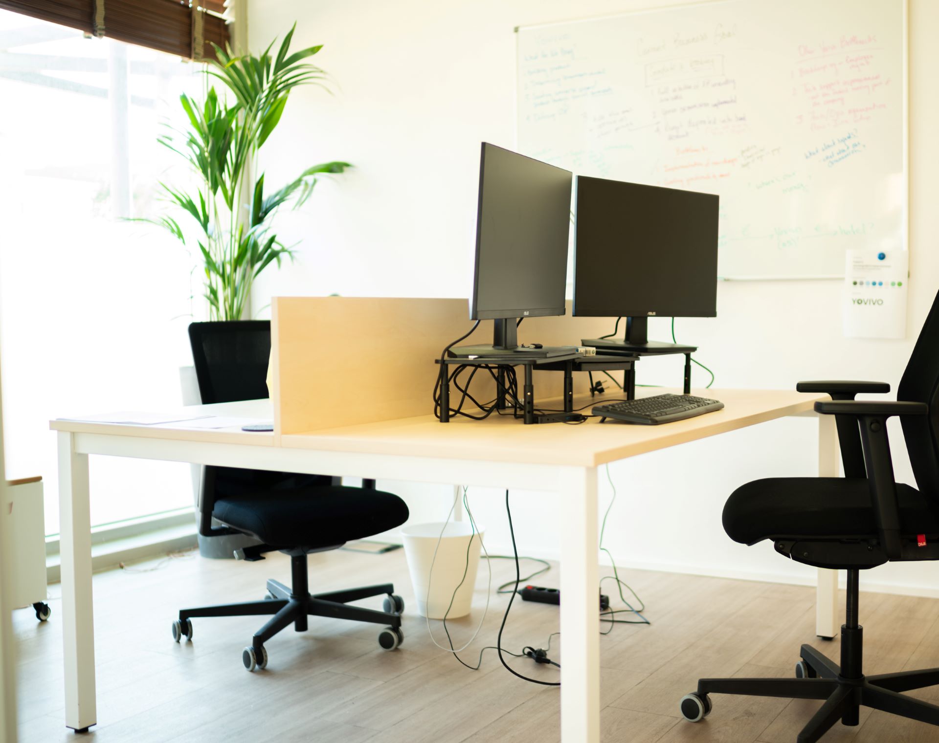 Max Ventures image 4