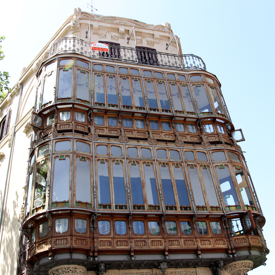 Palmapolitan image 4