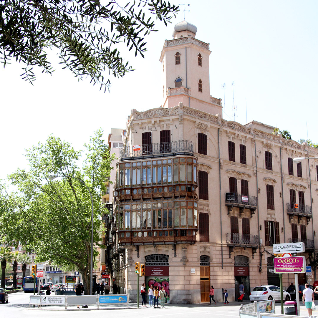 Palmapolitan image 3