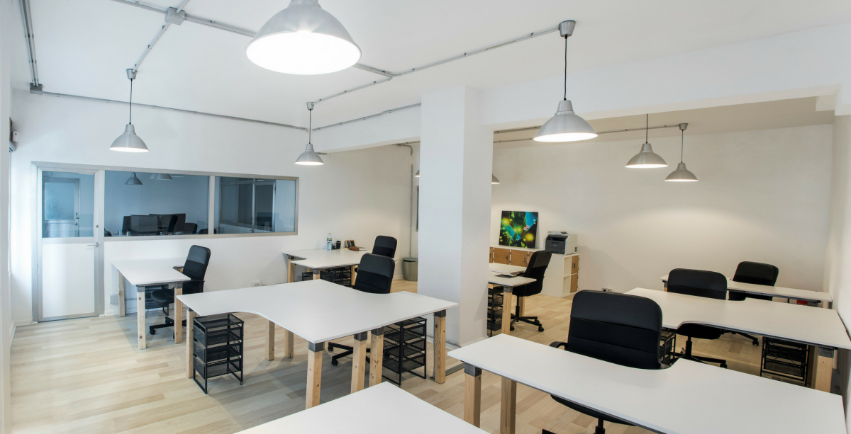 Galerna Studio profile image