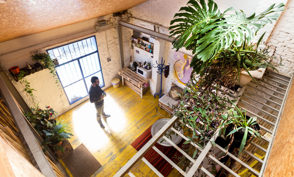 La banera del Pelicano image 2