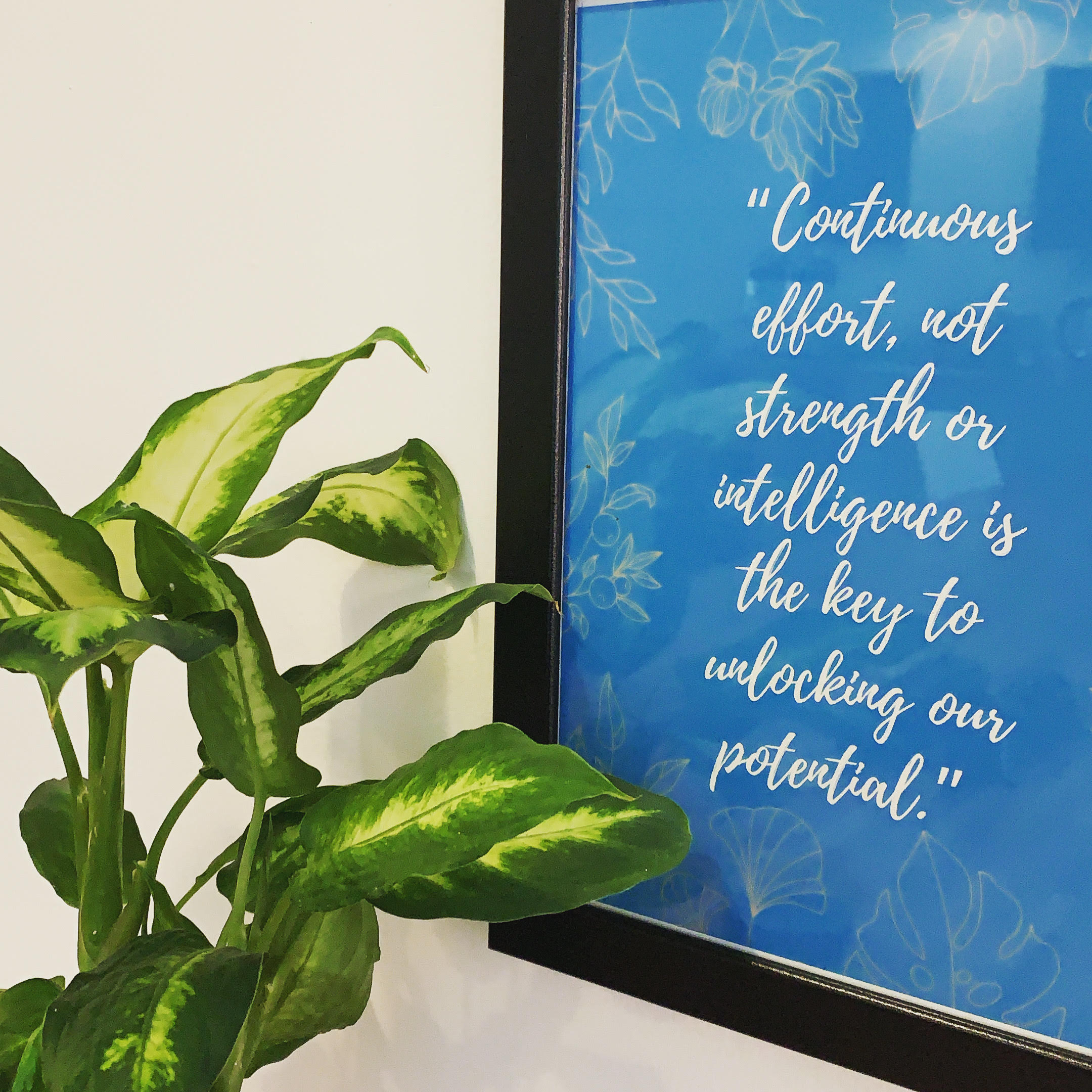 Zen Den Coworking Tenerife image 3