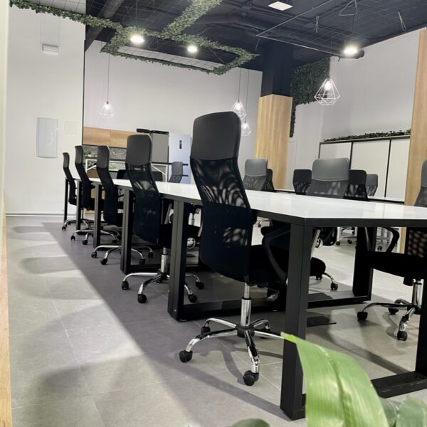 MoMa Creative Coworking & Broker image 3