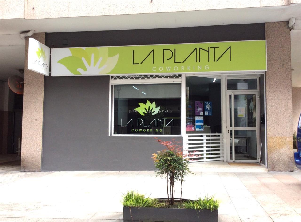 La Planta Coworking image 3