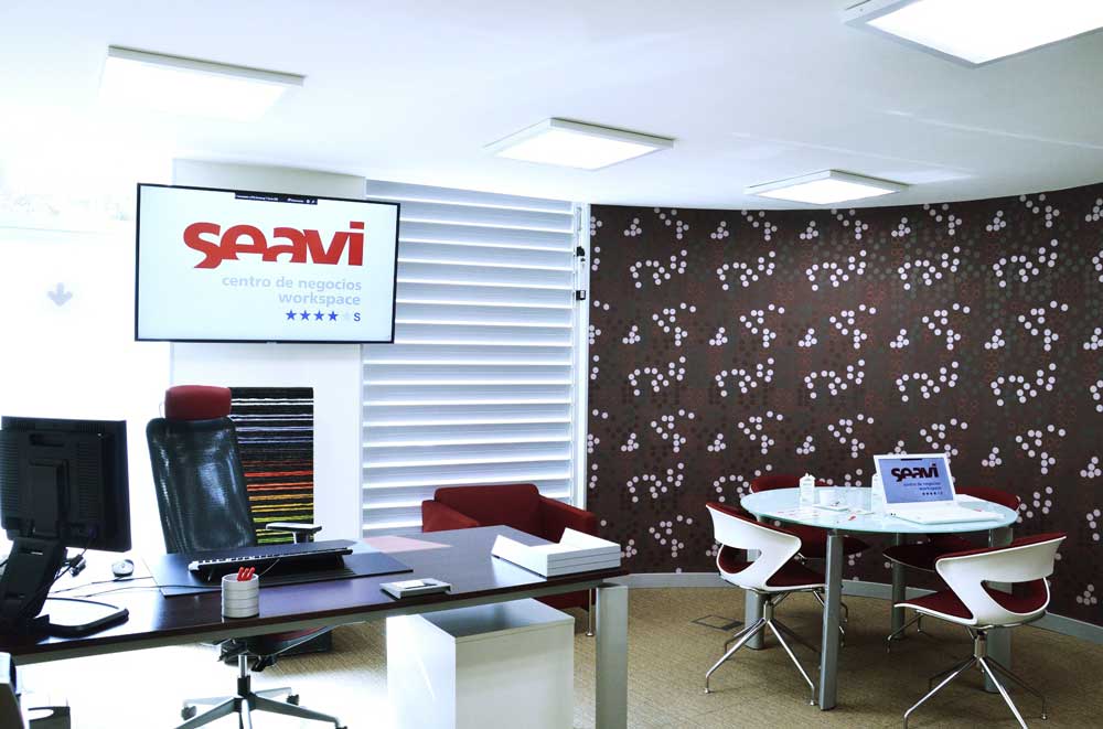 Centro de Negocios Seavi image 3