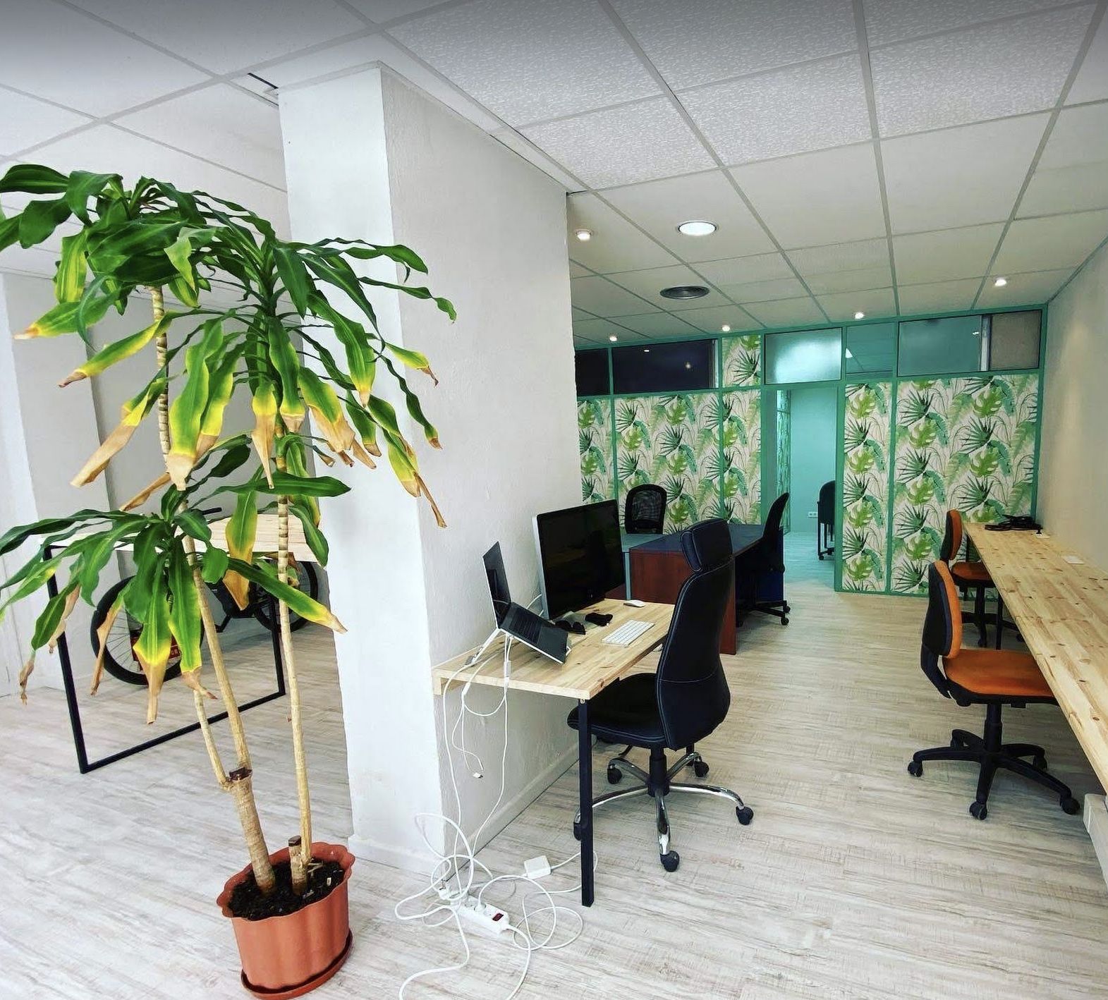 Nexopia Workspace image 4