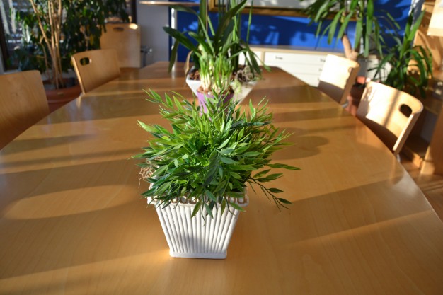 KunskapsAvenyn AB image 5