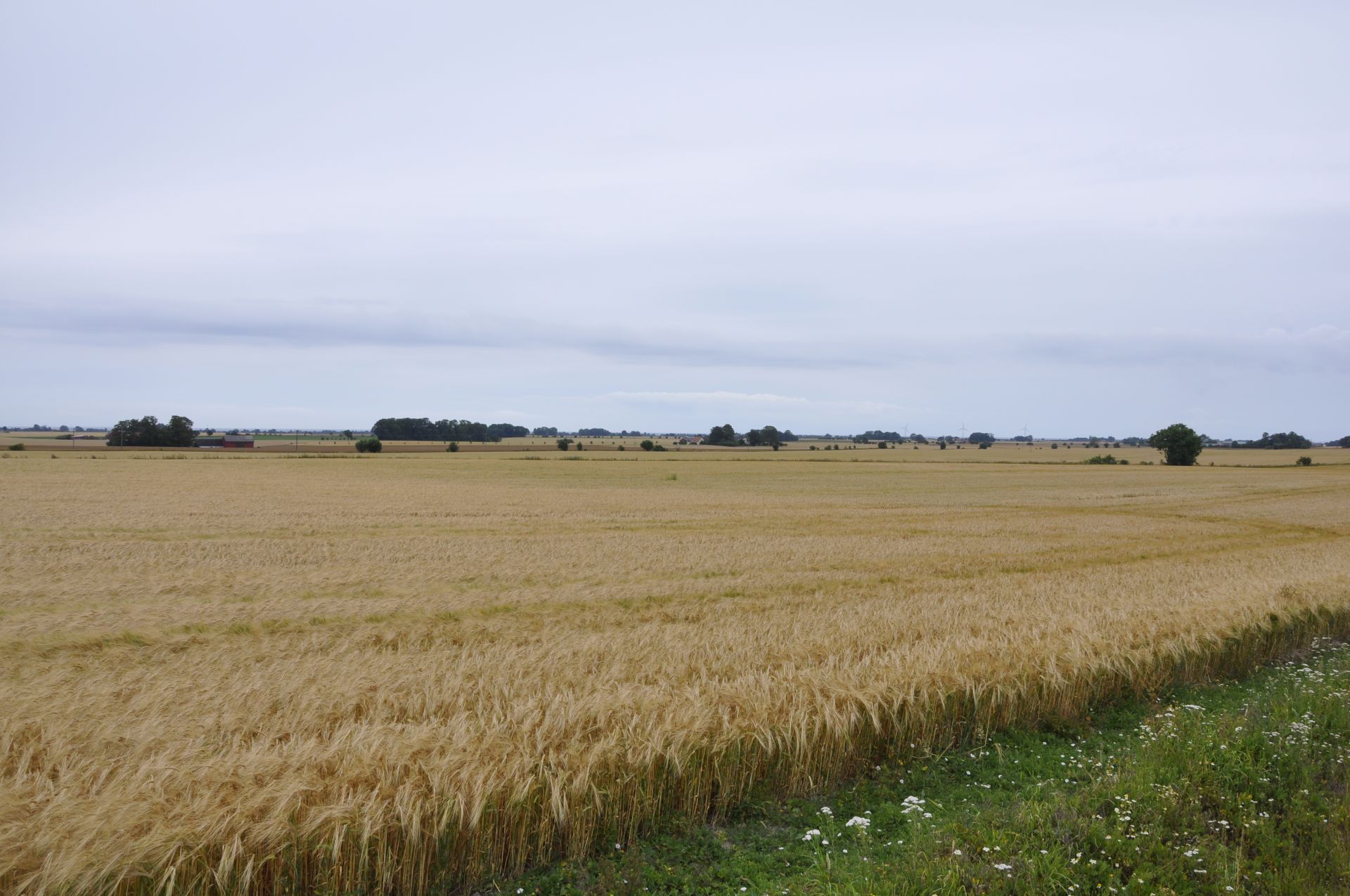 Kontorscafé i Södra Åby image 3